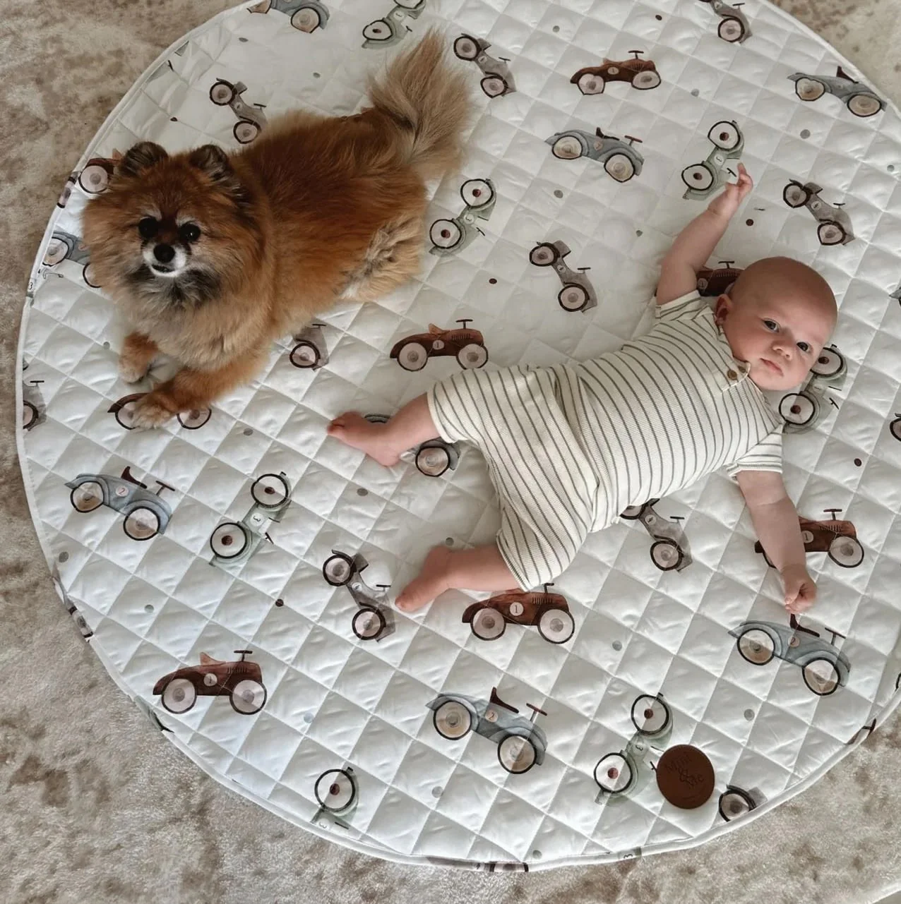 Cuddle Bug Padded Waterproof Playmat - Cars - Image 2