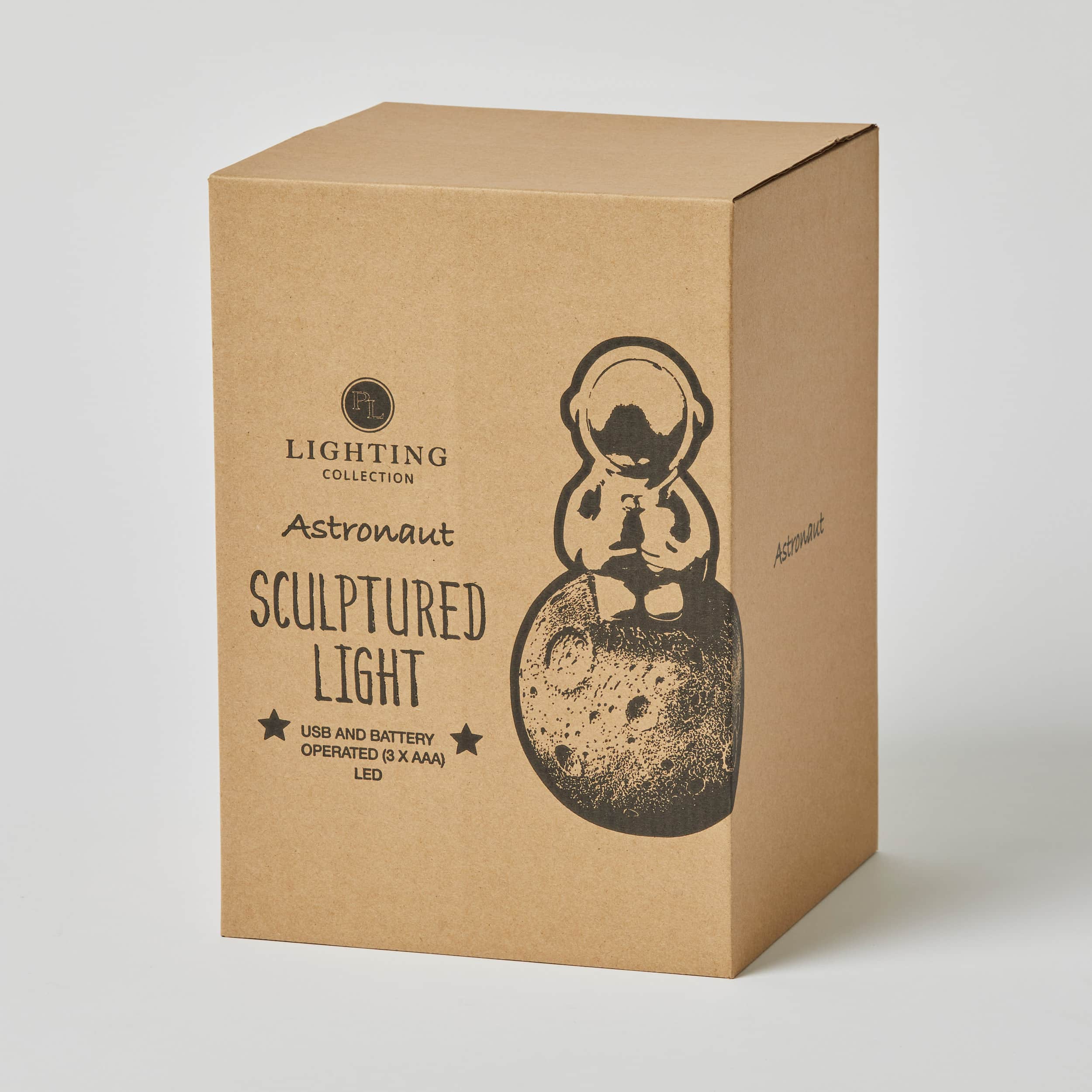 Pilbeam Astronaut Sculptured Light - Image 5